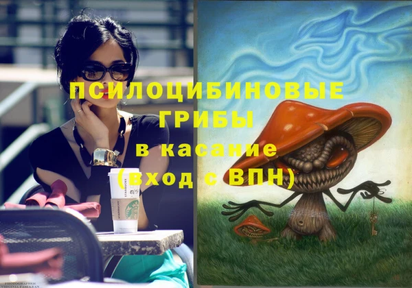дурь Абаза