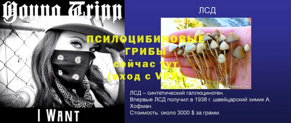 соль ск Абинск