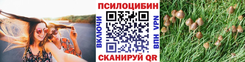 Псилоцибиновые грибы мицелий  Сызрань 