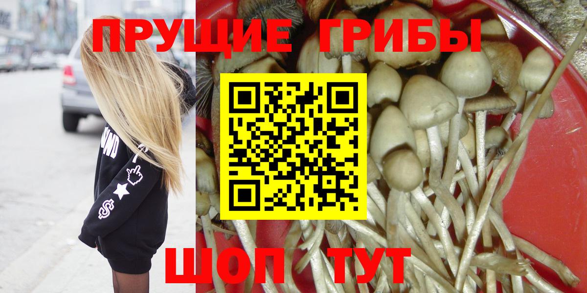 Псилоцибиновые грибы Psilocybe Сызрань